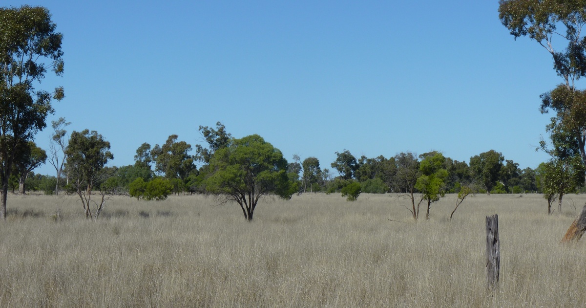 Rural Properties For Sale Bollon Rural Properties For Sale Bollon