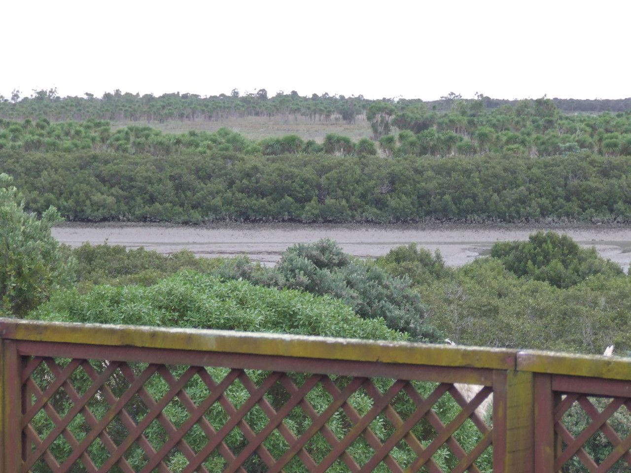 103 Finlayson Avenue, Clendon Park, Manukau City