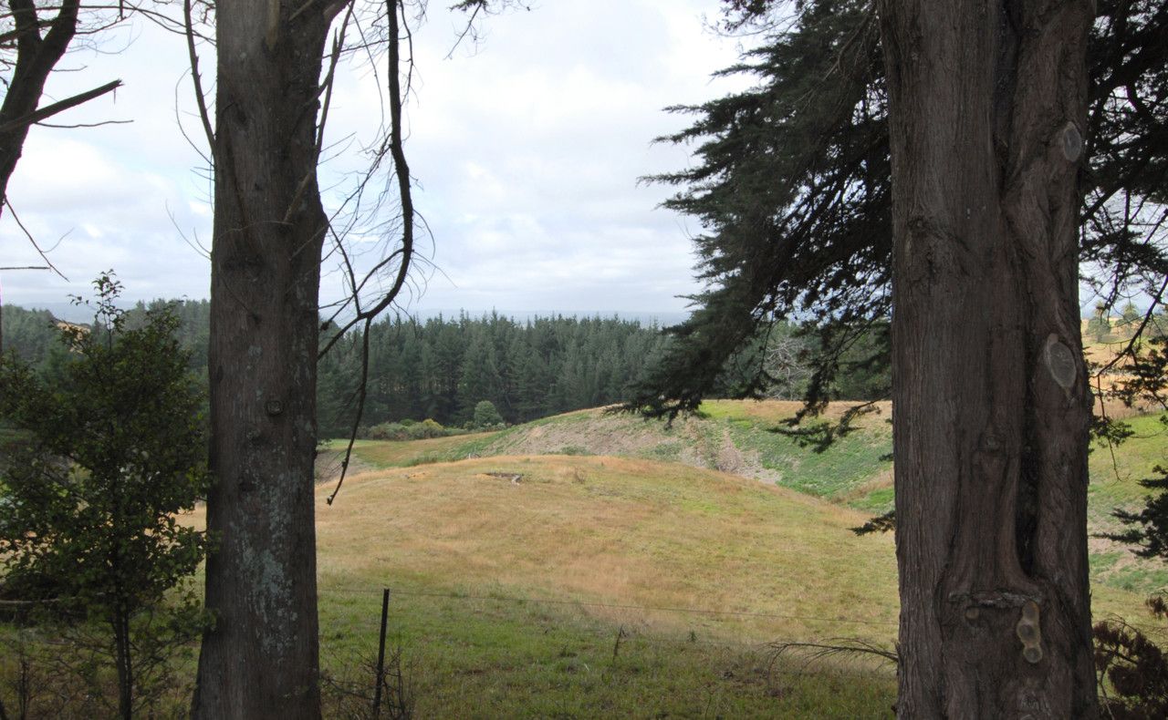 Manukau, Manukau City