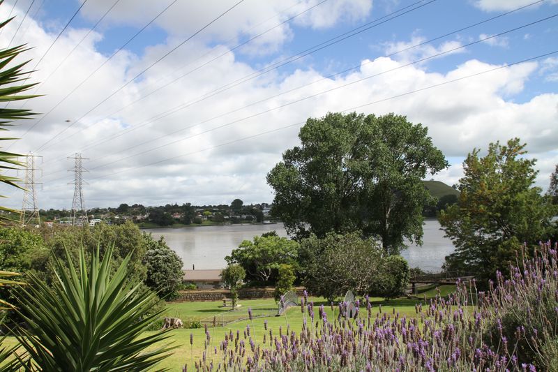 Attention Leaky Home Buyers and Developers! - Mt Wellington