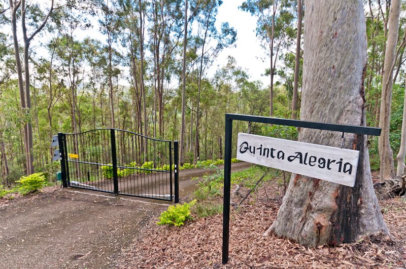 Pest control in Draper