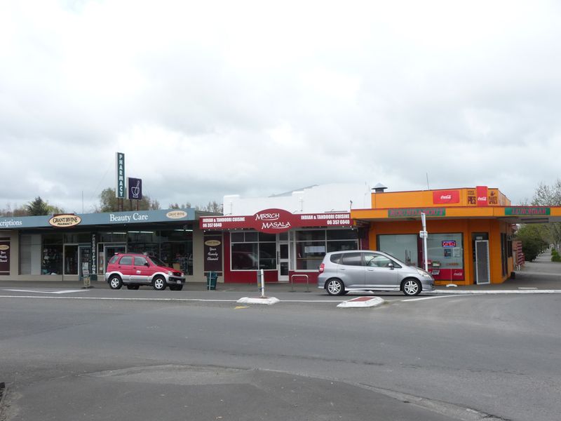 House 550 Ferguson Street, Terrace End, Palmerston North City