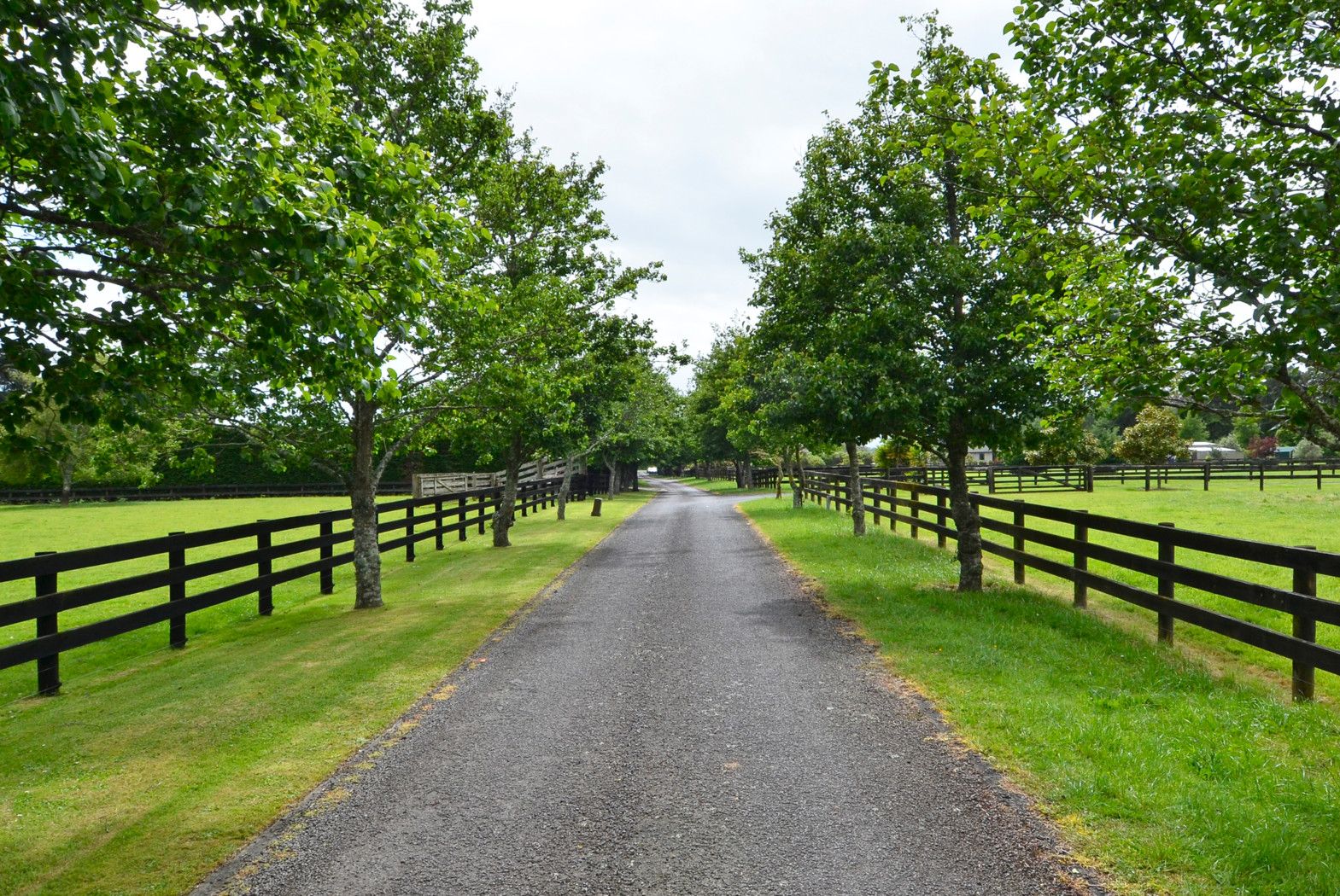 73 Taipan Place, Alfriston, Manukau City