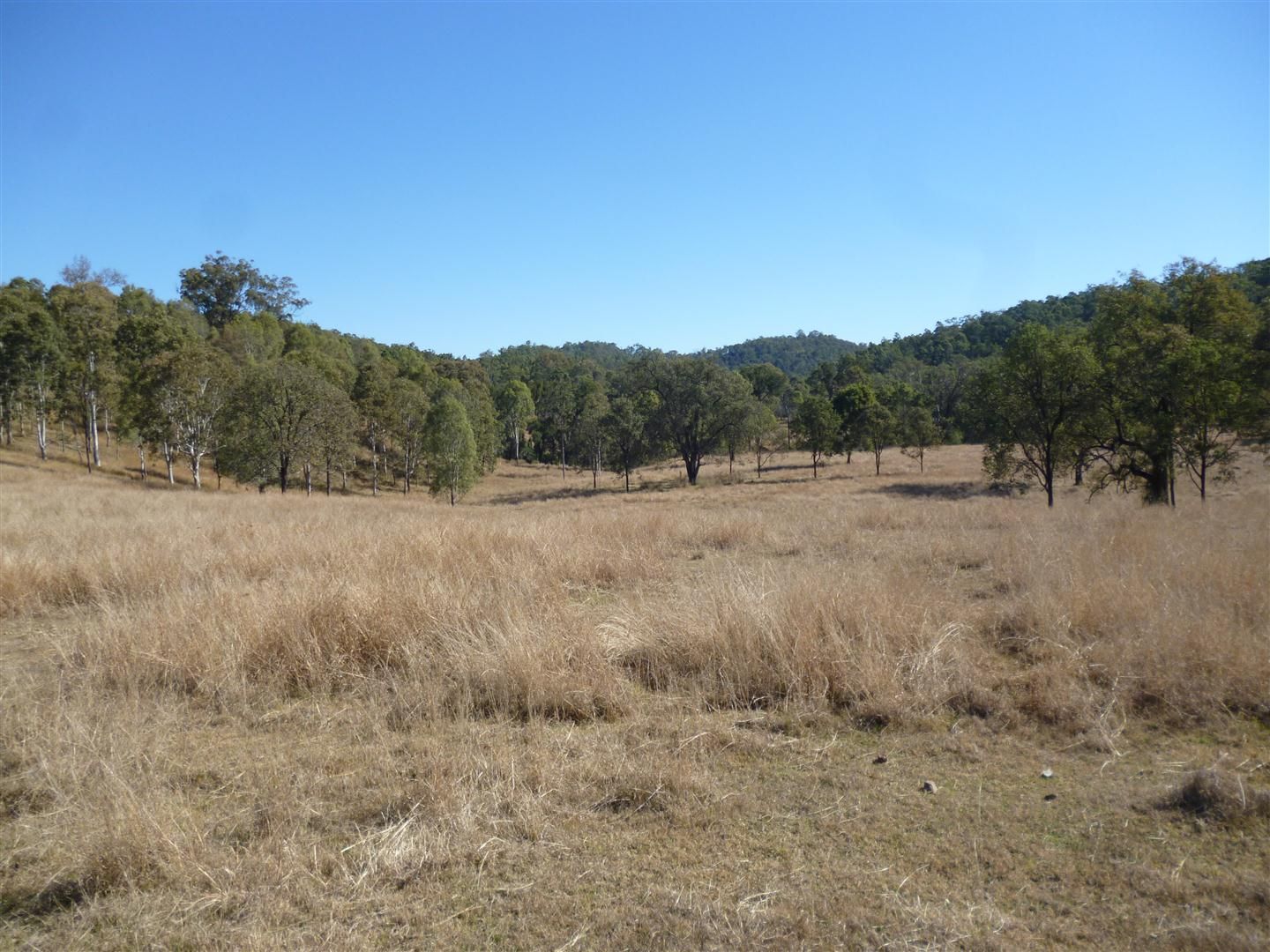 941 Dalga Road, Boyne Valley, QLD - Rural Rural Livestock ...