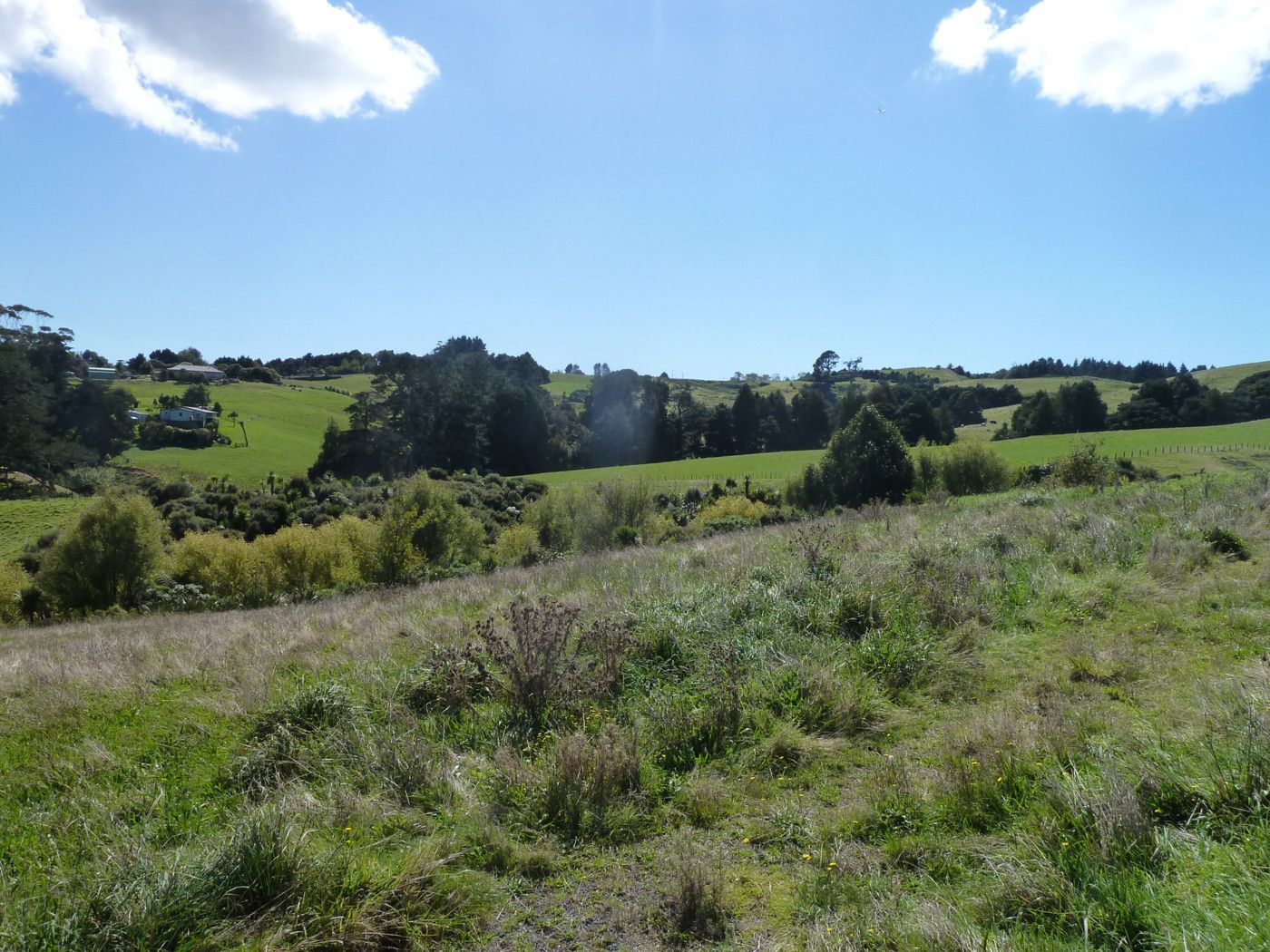 14a Regis Lane, Flat Bush, Manukau City