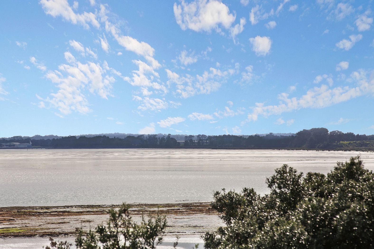 6 Domain Road, Weymouth, Manukau City