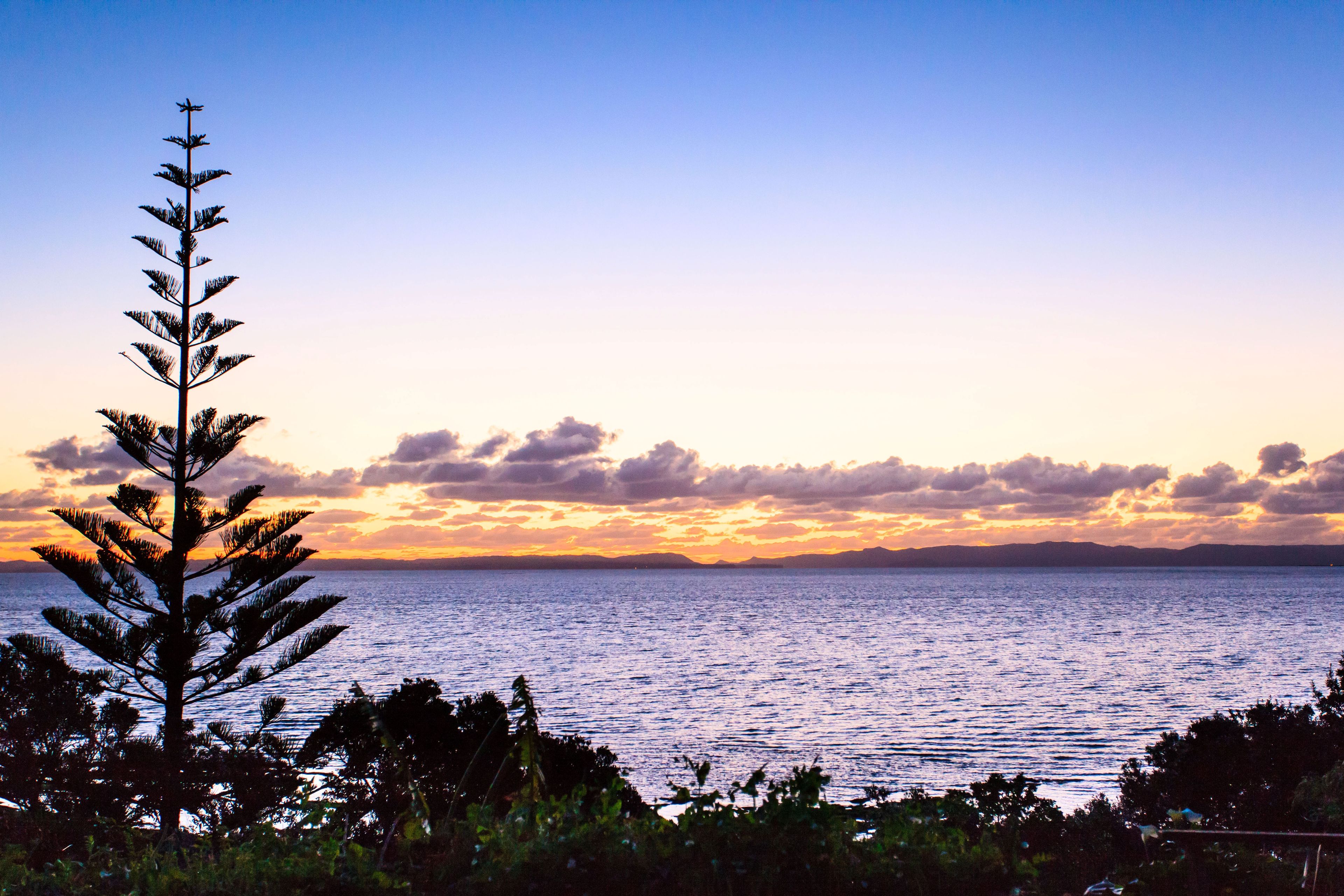 6 Domain Road, Weymouth, Manukau City