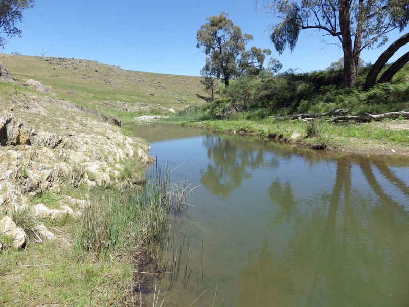 Rural Mixed Farming Property Sold Woodstock, NSW 75 ...