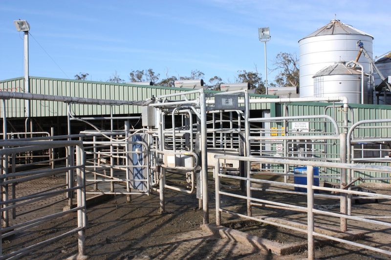 Rural Dairy Property Sold Heywood, VIC