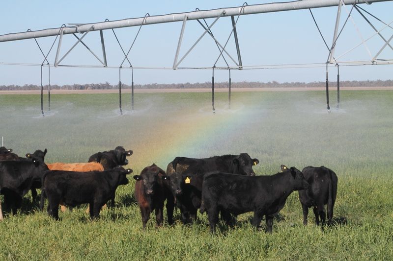 Rural Mixed Farming Property Sold Hebel, QLD Lot 1 'Ballandool Station ...