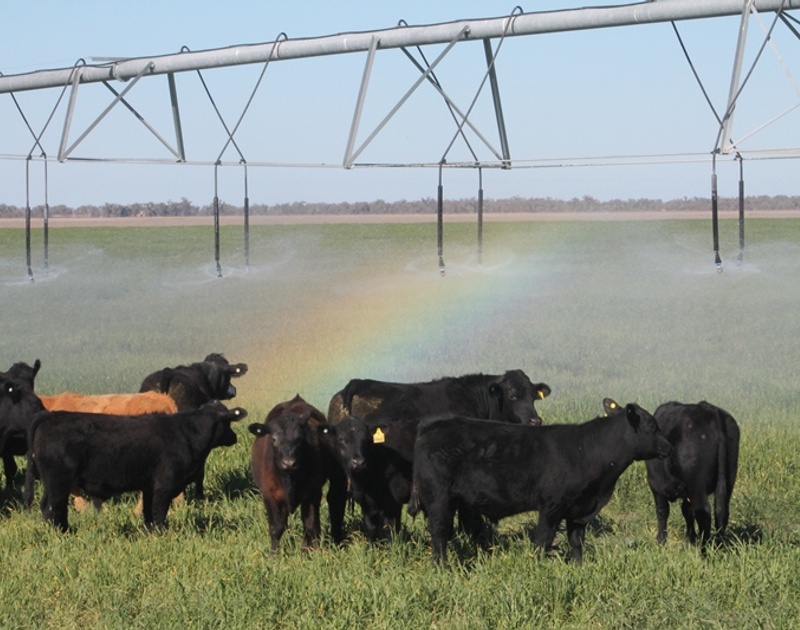 Rural Mixed Farming Property Sold Hebel, QLD Lot 1 'Ballandool Station ...