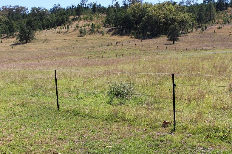 Rural Livestock Property Sold Bingara, NSW 733 Upper Whitlow Road
