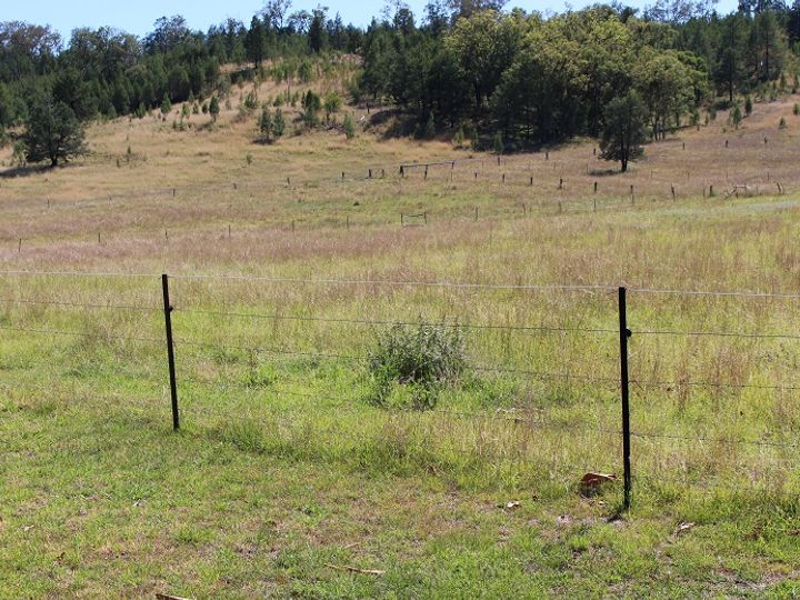 Rural Livestock Property Sold Bingara, NSW 733 Upper Whitlow Road