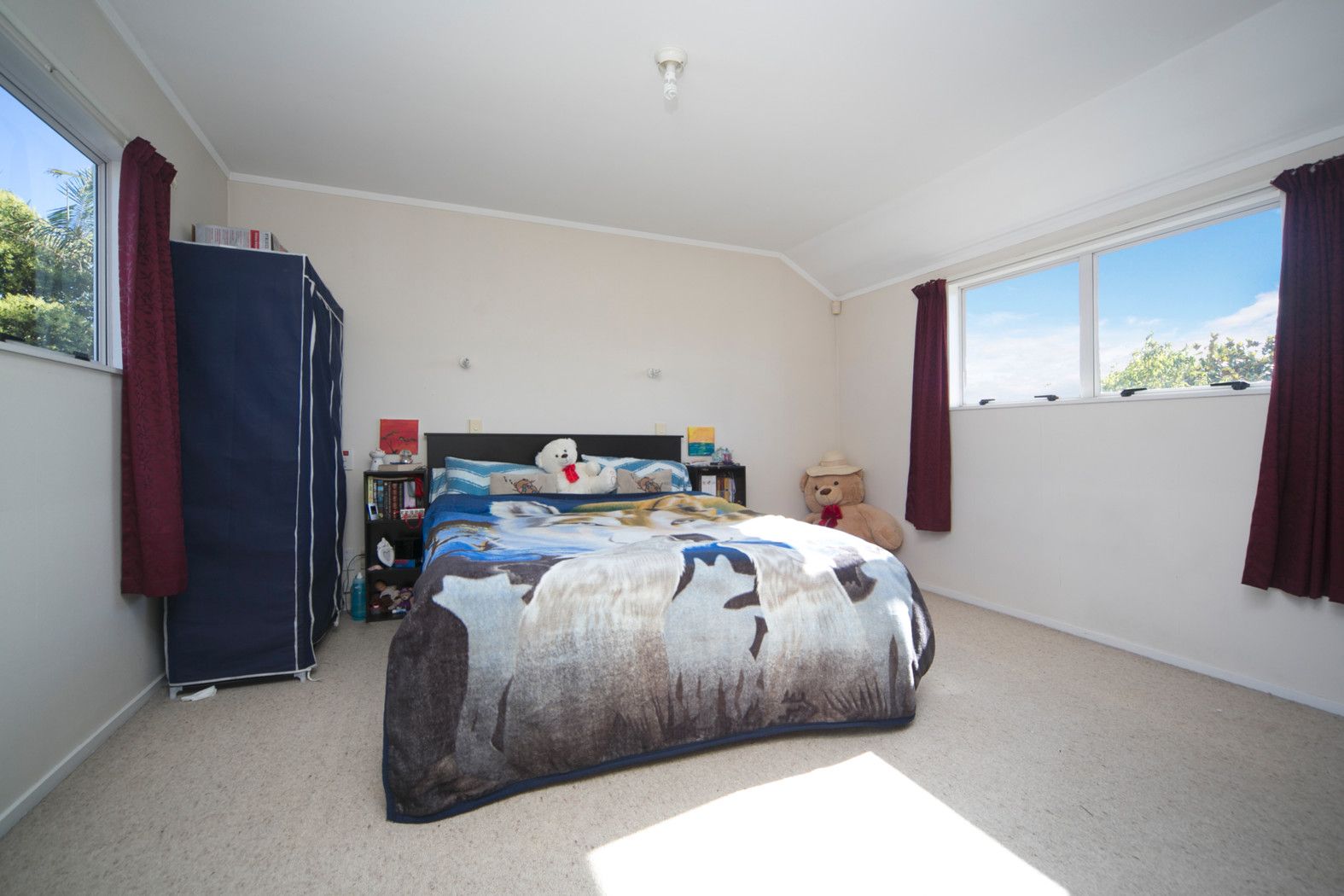 13 Central Park Drive, Te Atatu South, Waitakere City