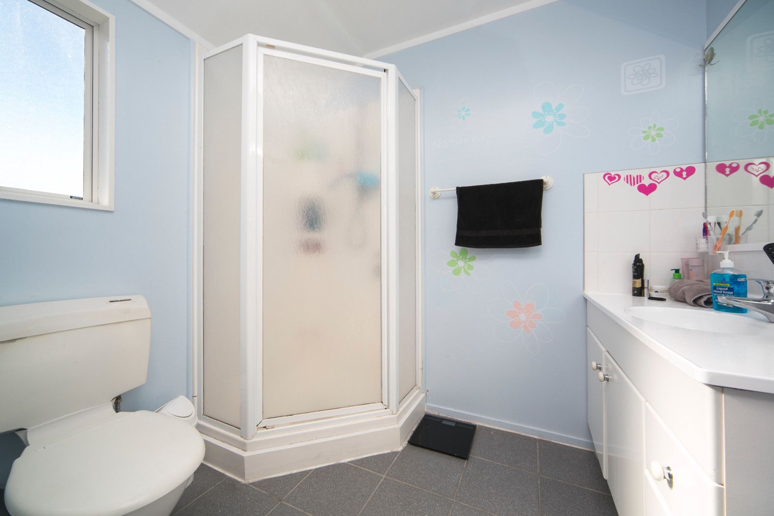 13 Central Park Drive, Te Atatu South, Waitakere City