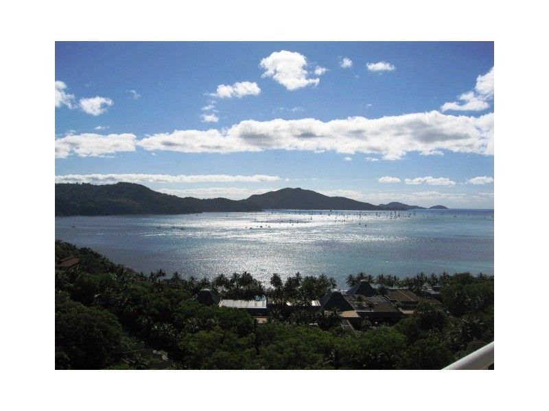 Poinciana Hamilton Island Poinciana Hamilton Island