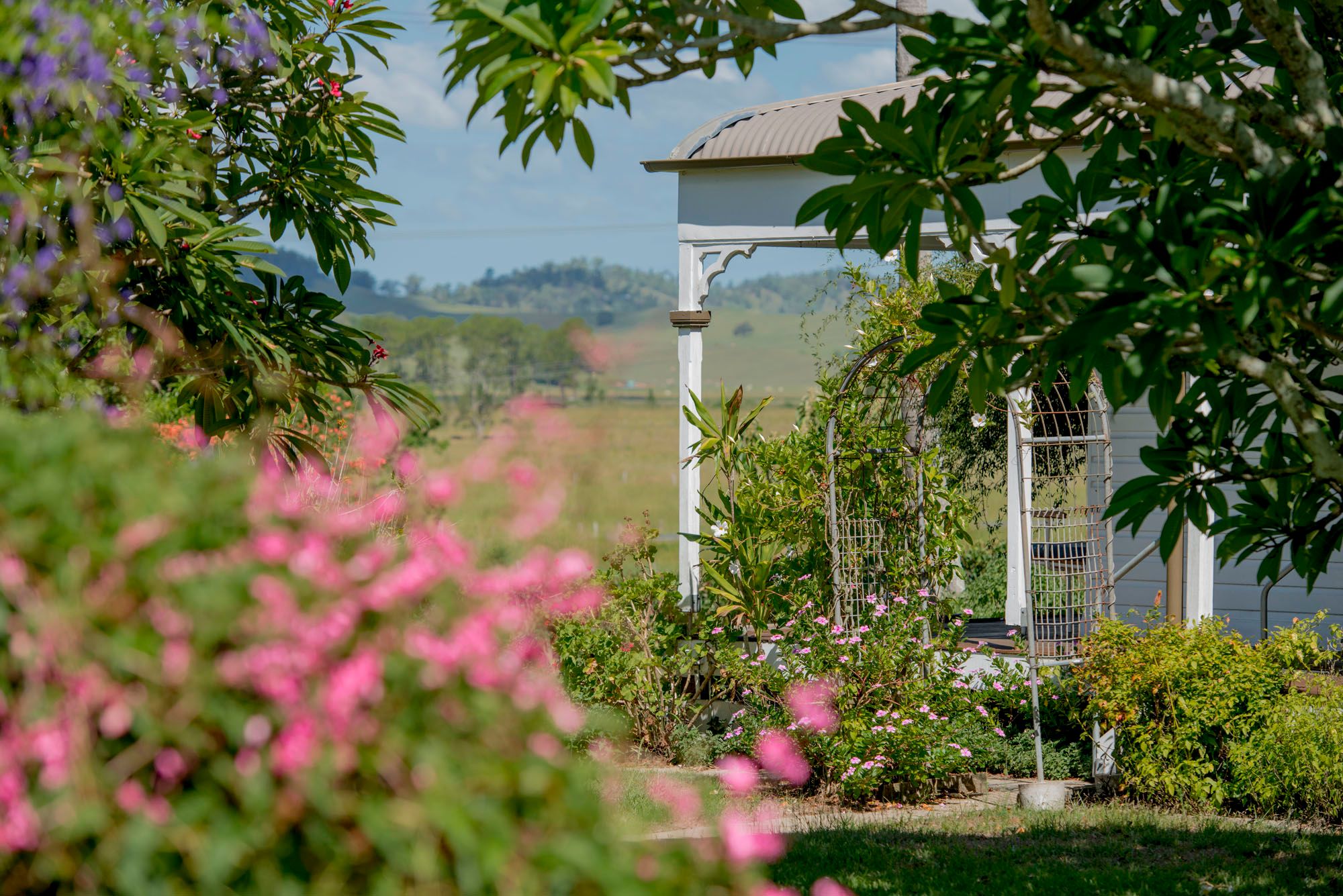 12843 summerland way, kyogle, nsw - rural rural livestock