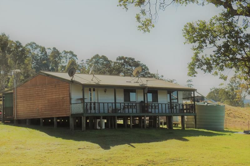 Horses for sale casino nsw
