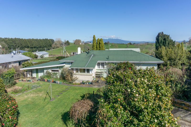 1950's Classic - Ohaupo