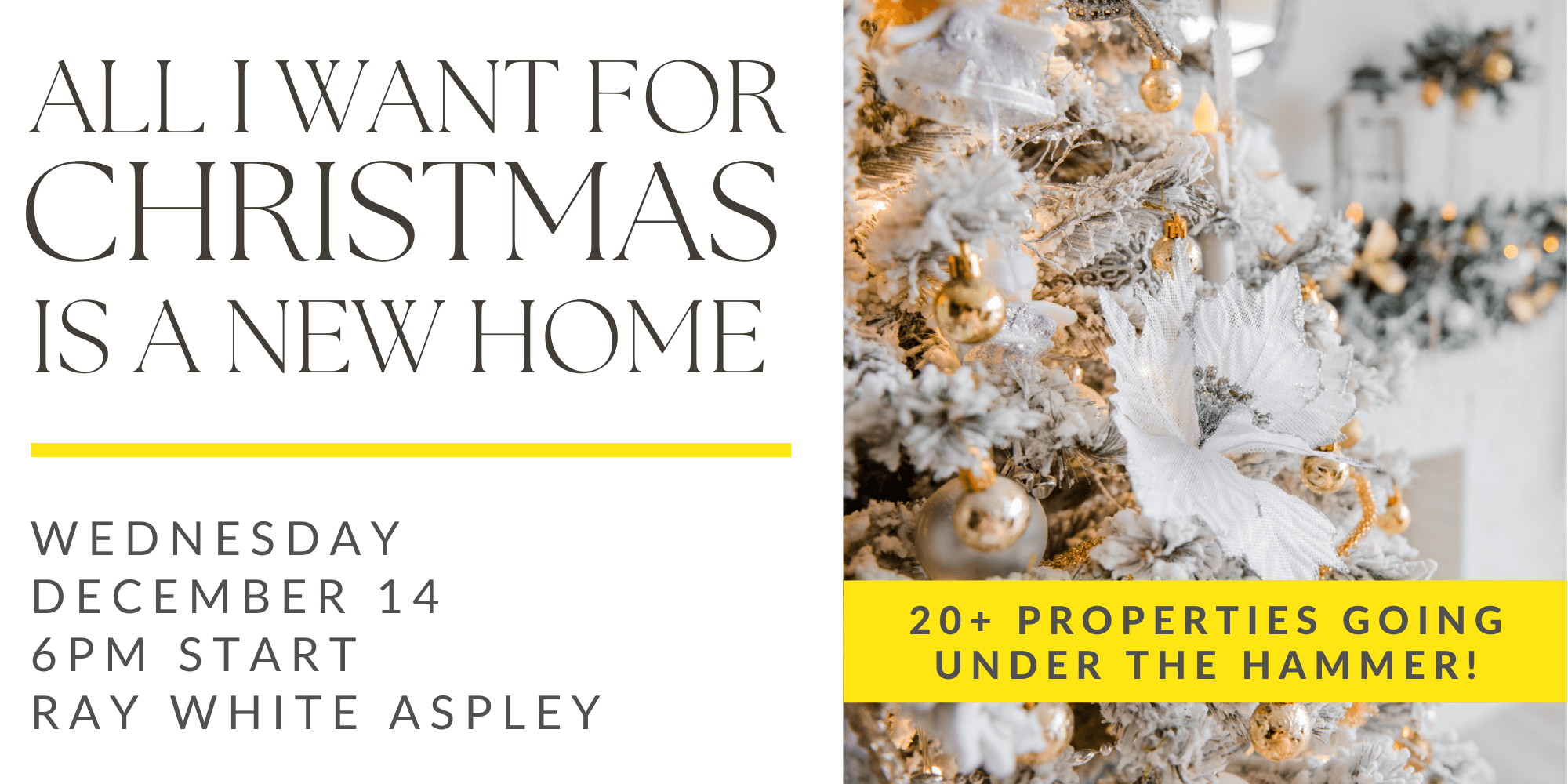 Live Auctions Ray White Springfield Springfield Lakes