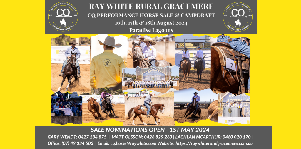 CQ Performance Horse CQ Performance Horse Ray White Rural Gracemere