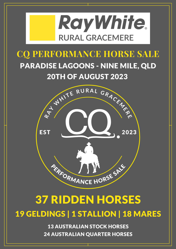 Catalogue CQ Performance Horse Ray White Rural Gracemere