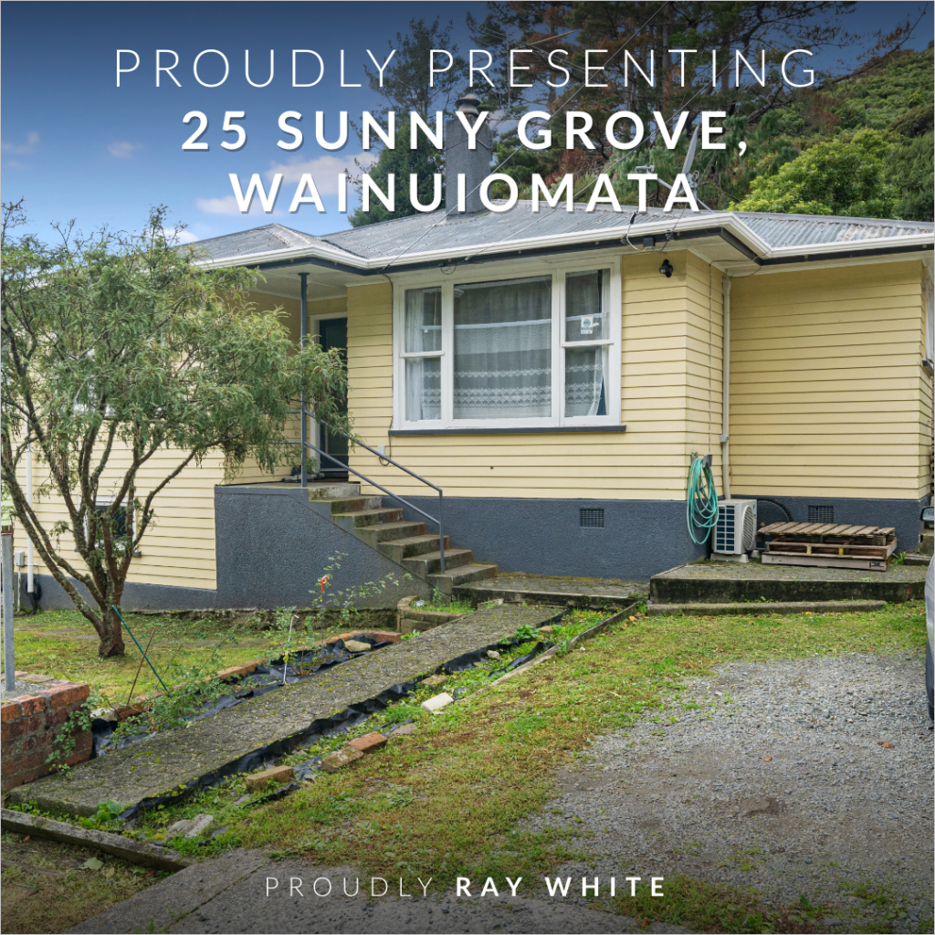 New Property For Sale News Ray White Kemeys Brothers