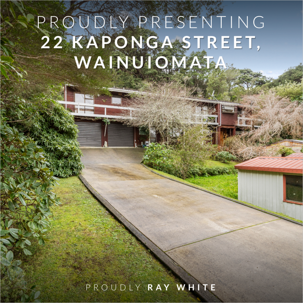 New Property For Sale News Ray White Kemeys Brothers